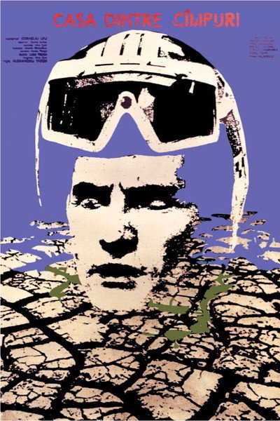 Póster de The House Between the Fields