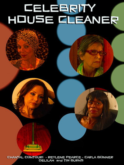 Póster de The House Cleaner