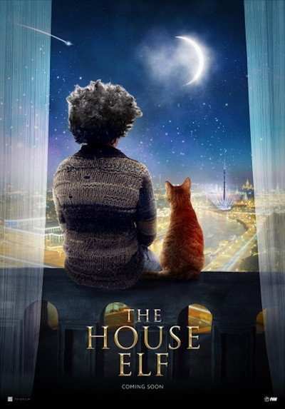 Póster de The House Elf