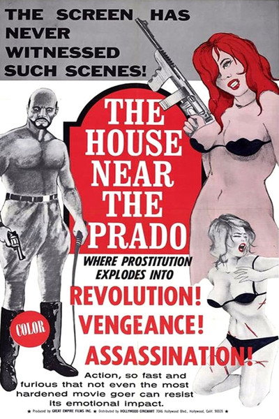 Póster de The House Near the Prado