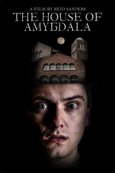 Póster de The House of Amygdala
