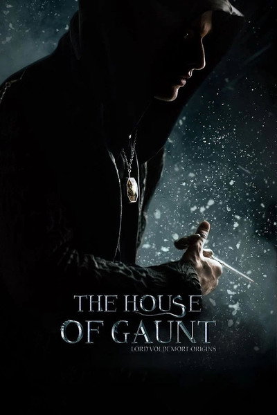 Póster de The House of Gaunt