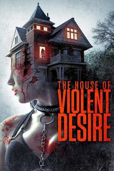 Póster de The House of Violent Desire