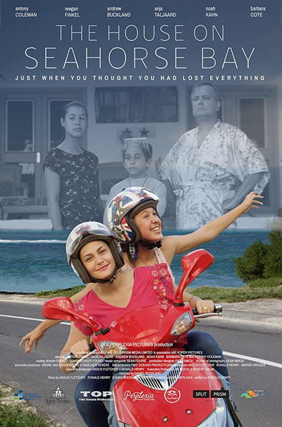Póster de The House on Seahorse Bay
