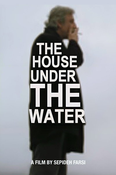 Póster de The House under the Water
