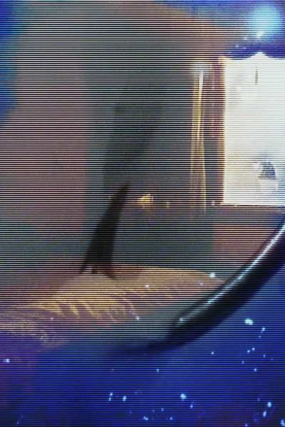 Póster de The house was there before me