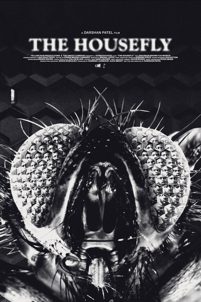 Póster de The Housefly