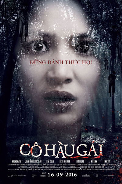 Póster de The Housemaid