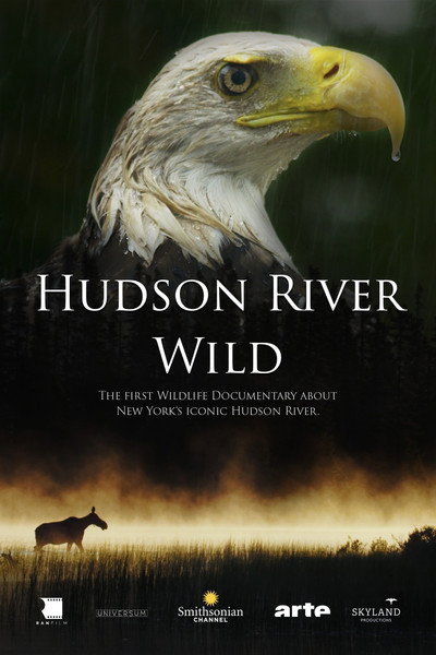 Póster de The Hudson River: Journey Into the Wild