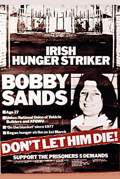 Póster de The Hunger Strike