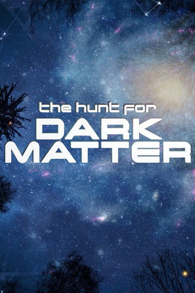 Póster de The Hunt for Dark Matter