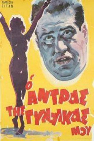 Póster de The Husband of My Wife