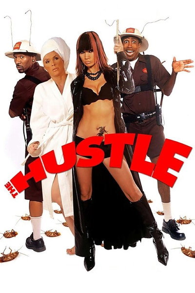 Póster de The Hustle