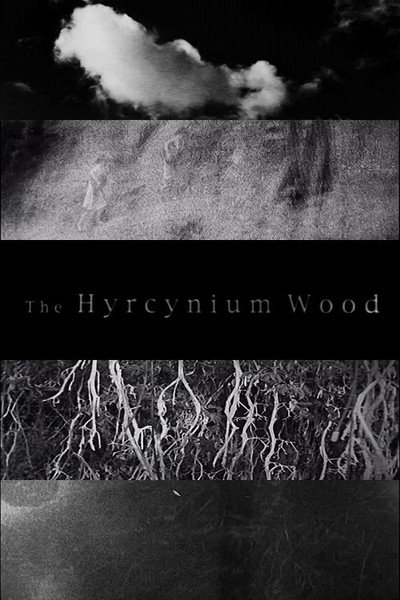 Póster de The Hyrcynium Wood
