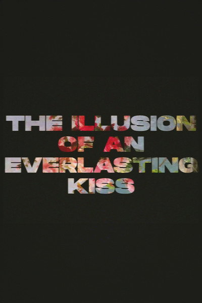 Póster de The Illusion of an Everlasting Kiss