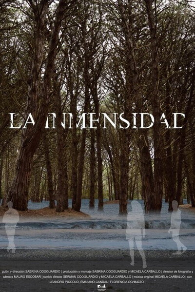 Póster de The Immensity