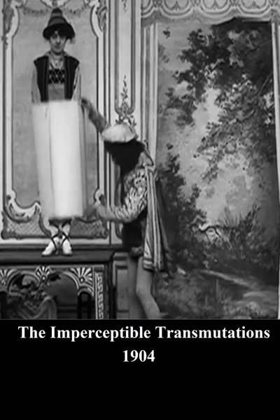 Póster de The Imperceptible Transmutations