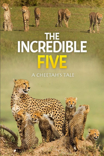 Póster de The Incredible Five A Cheetah's Tale