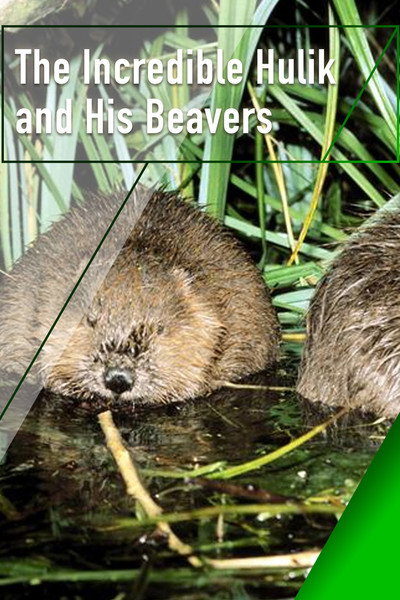 Póster de The Incredible Hulik and His Beavers