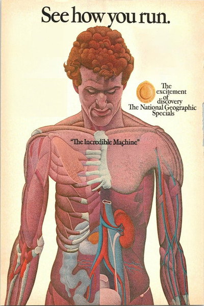 Póster de The Incredible Machine