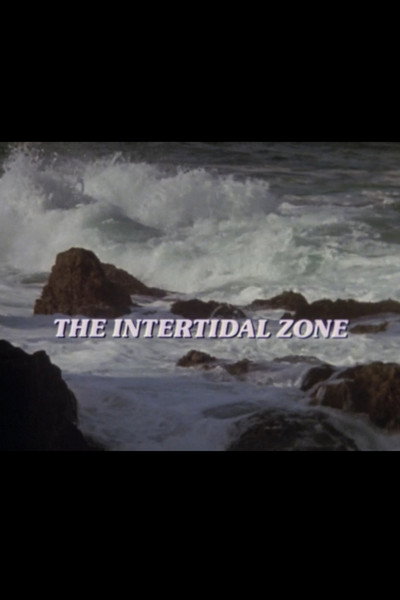 Póster de The Intertidal Zone
