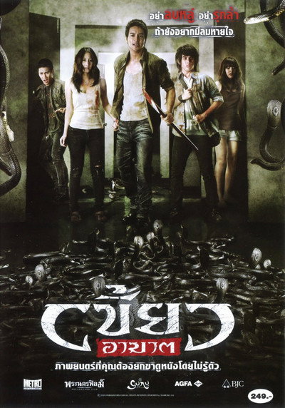 Póster de The Intruder