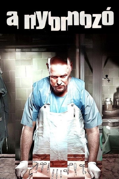 Póster de The Investigator