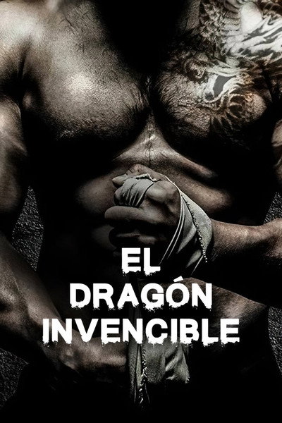 Póster de The Invincible Dragon