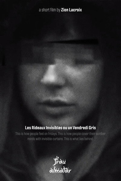 Póster de The Invisible Curtains or a Gray Friday
