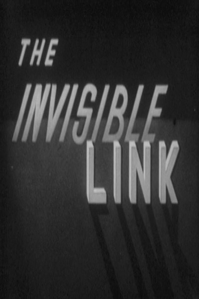 Póster de The Invisible Link