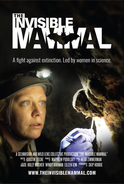 Póster de The Invisible Mammal