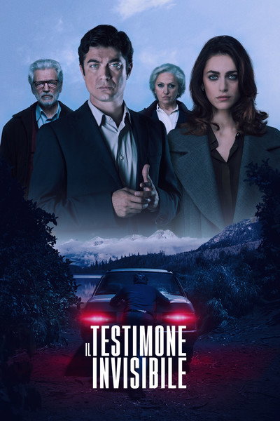 Póster de The Invisible Witness
