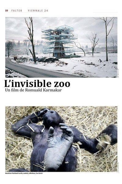 Póster de The Invisible Zoo
