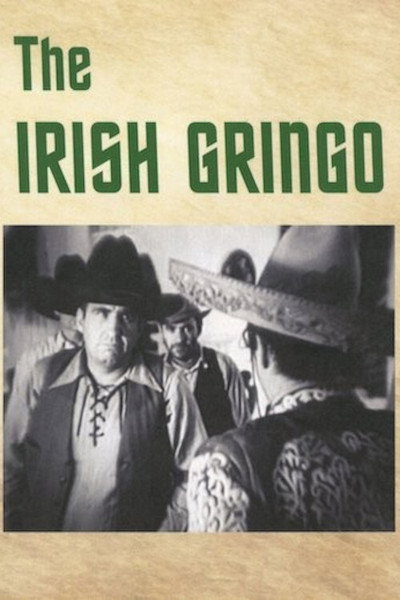 Póster de The Irish Gringo
