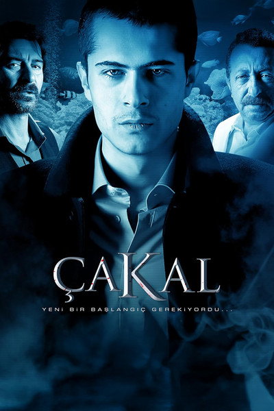 Póster de The Jackal