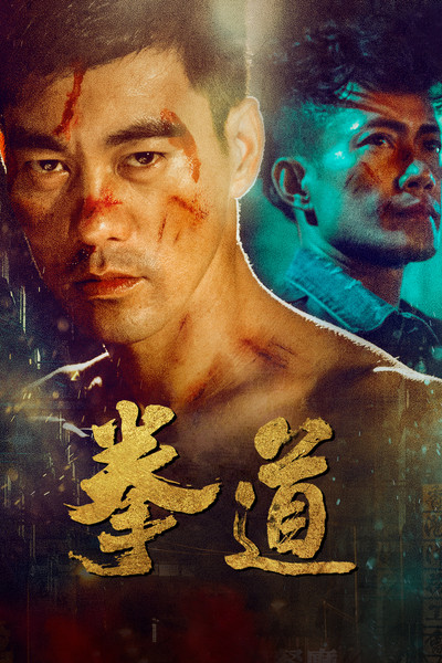 Póster de The Journey of a Boxer