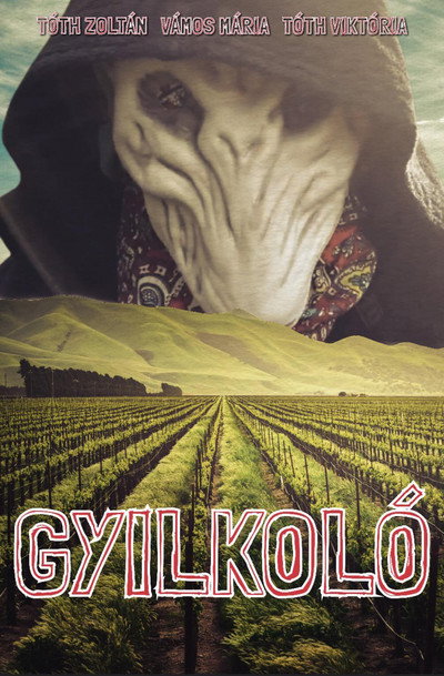 Póster de The Killer