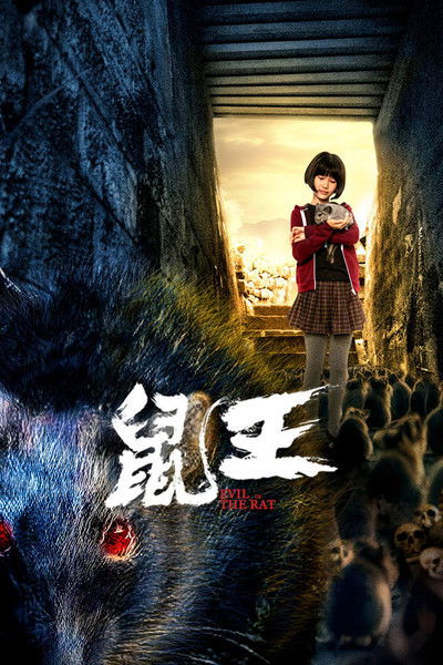 Póster de The King of Disaster