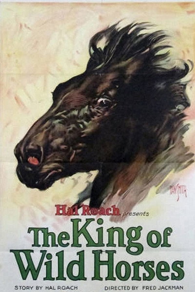 Póster de The King of Wild Horses