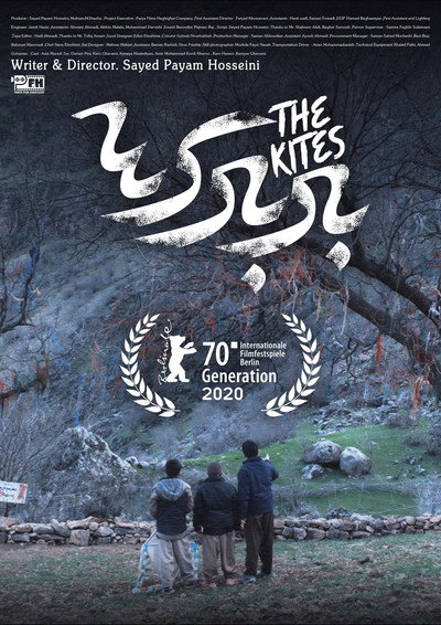 Póster de The Kites