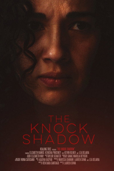 Póster de The Knock Shadow