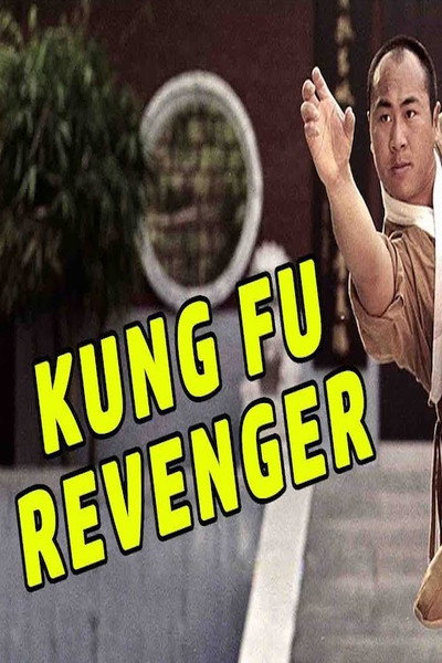 Póster de The Kung Fu Revenger