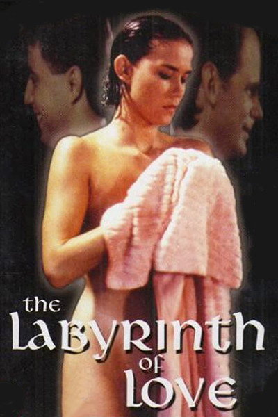 Póster de The Labyrinth of Love
