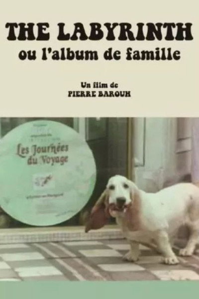 Póster de The Labyrinth ou L'album de famille