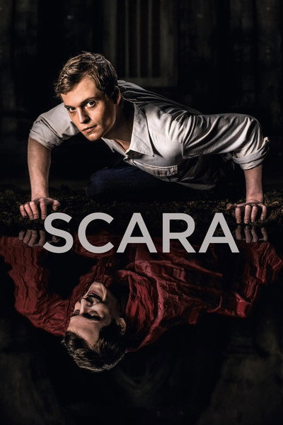 Póster de The Ladder