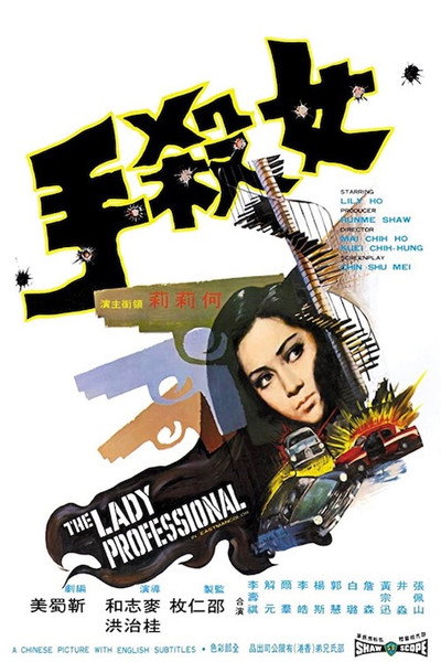 Póster de The Lady Professional