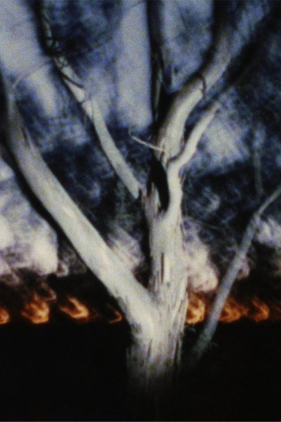 Póster de The Land at Night