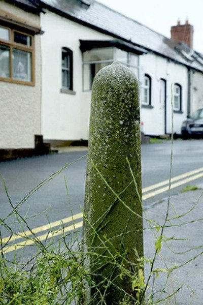 Póster de The Lane