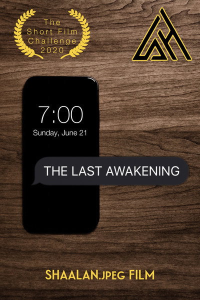 Póster de The Last Awakening