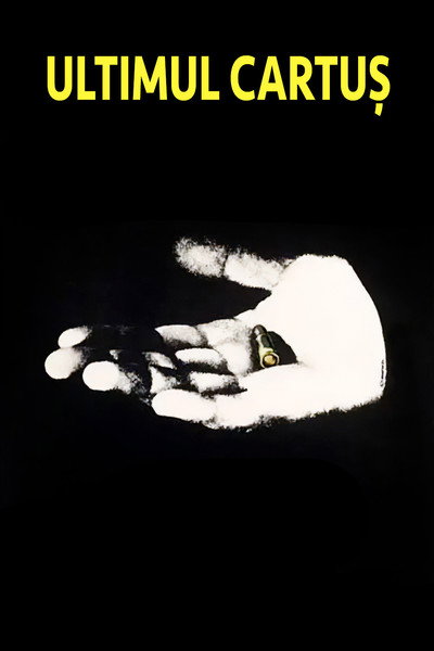 Póster de The Last Bullet